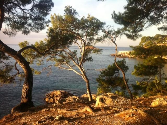 Le Hameau De La Crique De L'Anglaise Bandol Eksteriør billede